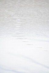Footprints on Ice on a Frozen Lake