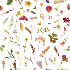 Seamless pattern of dried flowers, petals, grass blades. Herbarium of many plants. Mainly red, yellow and green colors
