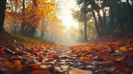 Enchanting autumn forest pathway covered in vibrant fallen leaves