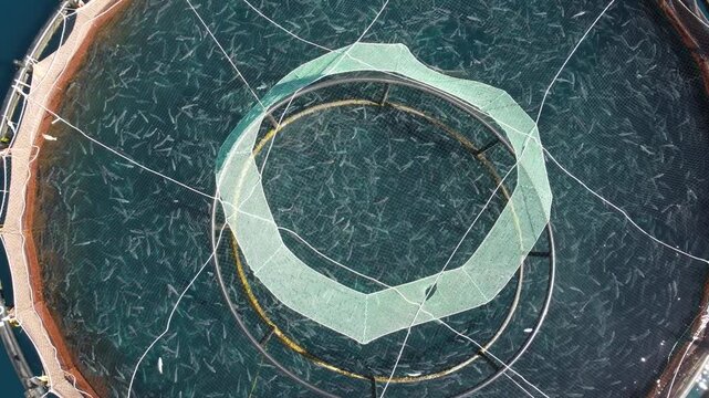 Aerial video above fish ponds near Les iles Sanguinaires en Corse