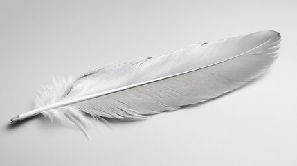 A soft feather resting on a still surface, representing lightness and inner peace