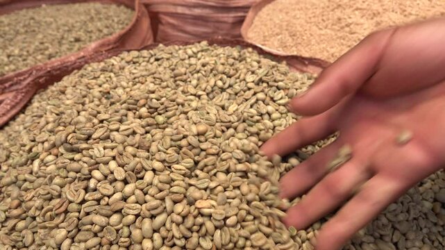 Street vendor shows fresh coffee beans for sale at Mercato market in Addis Ababa, Ethiopia
