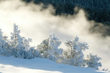 A person skiing down a snow-covered slope