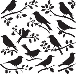Collection of Bird Silhouettes in Various Poses with Branches and Leaves – Elegant Minimalist Design