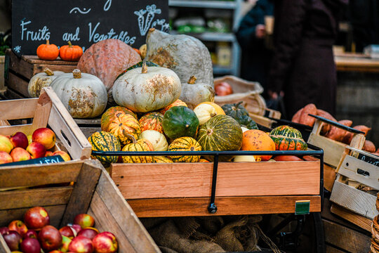 A variety of pumpkins at the market