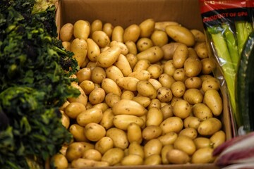 Fresh yellow potatoes in a box at the market