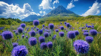 Obraz premium Majestic Mountain and Blooming Meadows: A Stunning Landscape