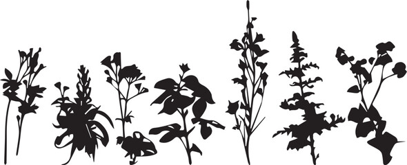 Set plants. Hand drawn vector illustration