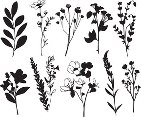 Set plants. Hand drawn vector illustration