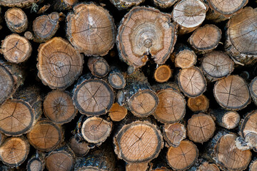 Woods stitched and cutted, small and big