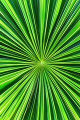 Obraz premium A detailed shot of a green palm leaf with intricate details and texture