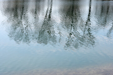 Blurry reflections of trees in calm water, creating an abstract and serene scene