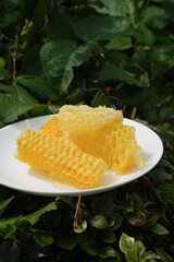 A close-up of a plate of fresh honeycomb against a background of vibrant sunflowers. Perfect for concepts of natural sweetness, sustainable living, beekeeping, and organic farming.
