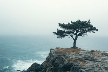 Lone tree stands resilient on a cliff overlooking a misty ocean, a serene and dramatic scene.