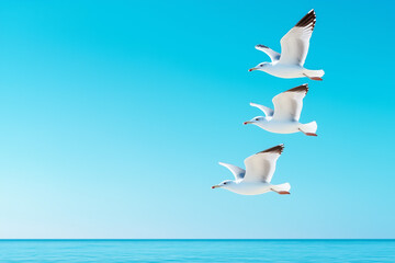 Obraz premium Three seagulls fly in formation, wings outstretched, gliding effortlessly above the serene ocean waves and clear azure sky on a bright, sunny day