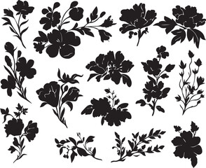 Set Flowers. Hand drawn vector illustration	