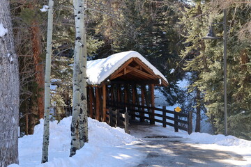 Snow covered wooden bridge in Rocky Mountains of Colorado, USA