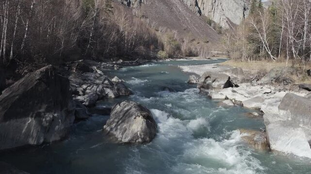 Seething water quickly flows over the stones. Mountain river in autumn against the background of the forest, slow motion. Altai