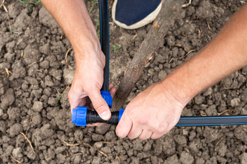 Fastening and connecting HDPE pipes with a fitting. A man installs an automatic drip irrigation system for his garden