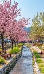 Cherry Blossom Trees Line a Tranquil Stream With Wooden Tables for Relaxation in a Serene Park Setting During Springtime