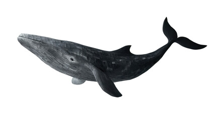 Whale on transparent background