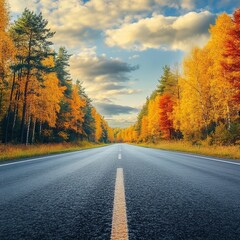 Asphalt road in the autumn forest at sunset. Nature background.