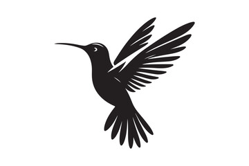 Humming bird silhouette