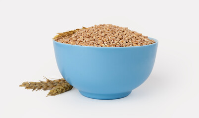 Bowl with spelt grain isolated on white