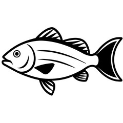 fish vector illustration