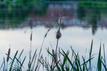 SALAMANCA DETALLES DE LA CIUDAD 2025 , SALAMANCA PHOTOS WITH DETAILS OF THE CITY SPAIN
