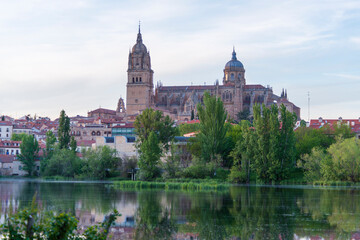 Obraz premium CATEDRAL DESDE EL RIO SALAMANCA DETALLES DE LA CIUDAD 2025 , SALAMANCA PHOTOS WITH DETAILS OF THE CITY SPAIN 
