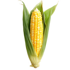 A single ear of yellow corn with vibrant green husk partially peeled back, revealing bright golden kernels