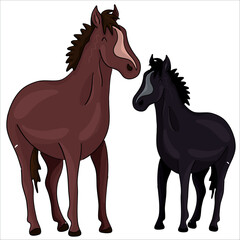 Colorful vector illustration: cute baby horse character, kawaii pony ready to print