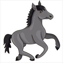 Colorful vector illustration: cute baby horse character, kawaii pony ready to print