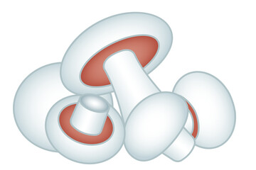 Champignon mushrooms group illustration