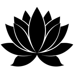 lotus flower isolated