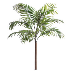 Obraz premium A tropical palm tree with long arched fronds, swaying under a bright blue sky