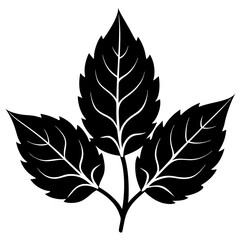 leaf silhouette vector