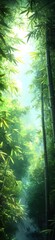 Obraz premium Serene bamboo forest bathed in sunlight with lush green foliage