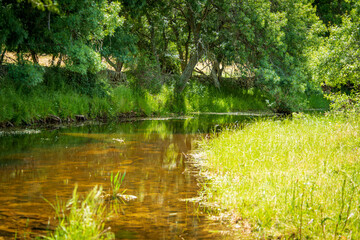 RIO EN PRIMAVERA EN PUEBLO DE CASTILLA