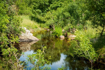 Naklejka premium RIO EN PRIMAVERA EN PUEBLO DE CASTILLA