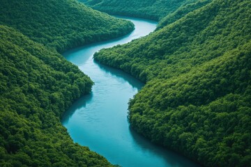Serpentine river meanders through lush green forest, a breathtaking aerial view showcasing nature's beauty.