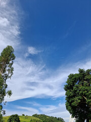 amazing landscape of trees and a stunning sky on the countryside
 