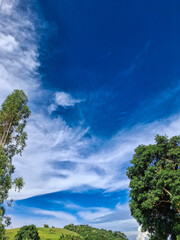 Obraz premium stunning landscape of trees and amazing sky in the countryside