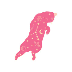 Mystical cats in boho style, silhouette collection. Esotericism and mysticism, occultism. Cartoon flat vector illustrations, isolated