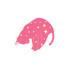 Mystical cats in boho style, silhouette collection. Esotericism and mysticism, occultism. Cartoon flat vector illustrations, isolated