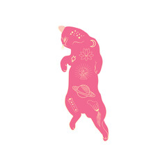 Mystical cats in boho style, silhouette collection. Esotericism and mysticism, occultism. Cartoon flat vector illustrations, isolated