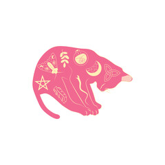 Mystical cats in boho style, silhouette collection. Esotericism and mysticism, occultism. Cartoon flat vector illustrations, isolated