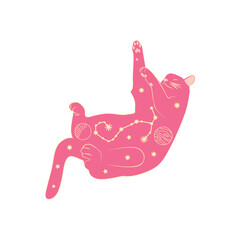 Mystical cats in boho style, silhouette collection. Esotericism and mysticism, occultism. Cartoon flat vector illustrations, isolated