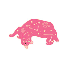 Mystical cats in boho style, silhouette collection. Esotericism and mysticism, occultism. Cartoon flat vector illustrations, isolated